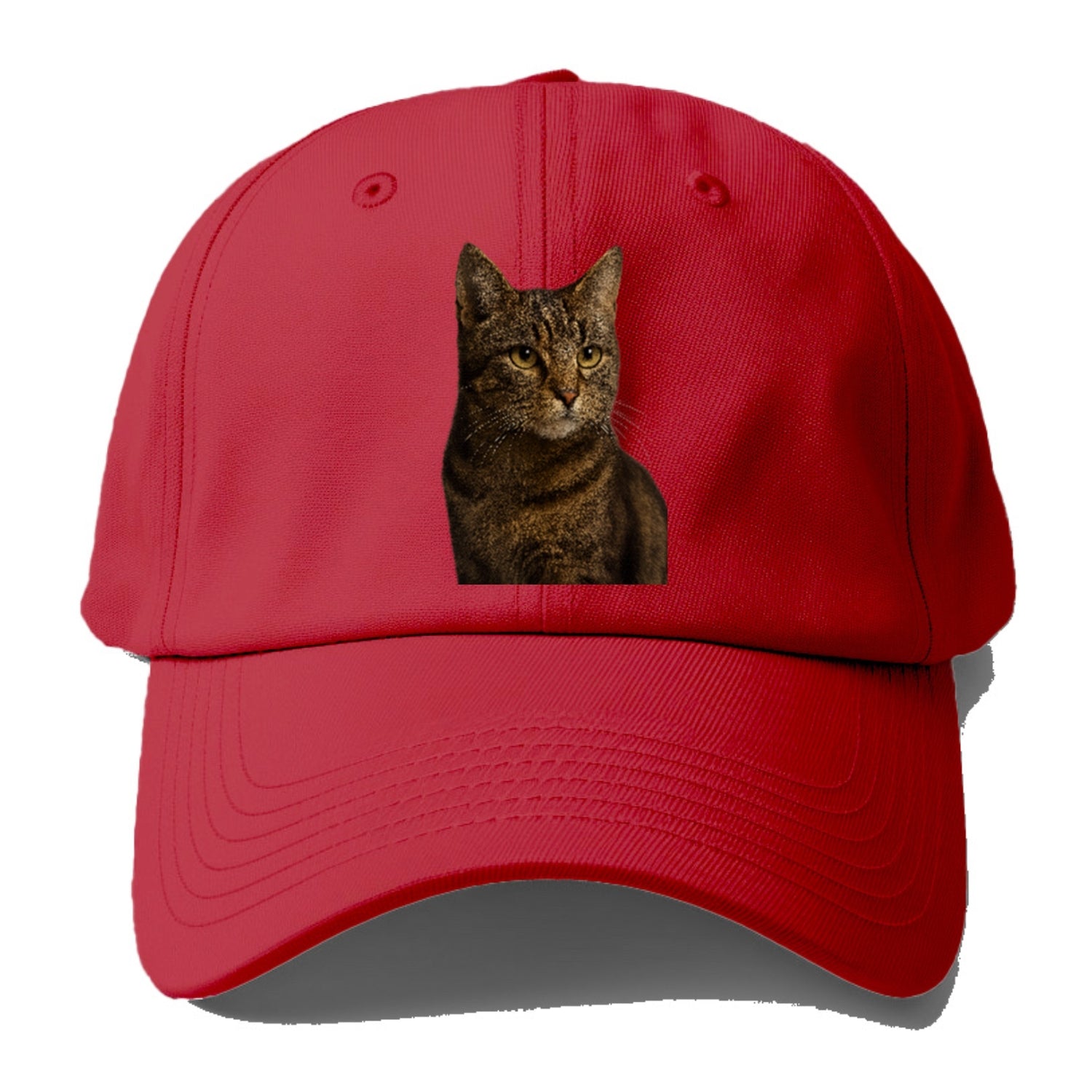 barn-cat-rustic-charm Hat