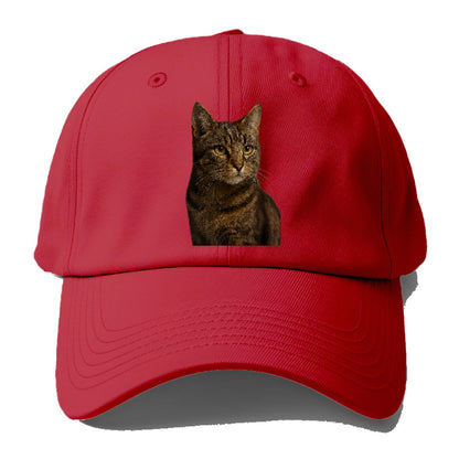 barn-cat-rustic-charm Hat