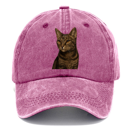 alert-cat-ready-radiant Hat