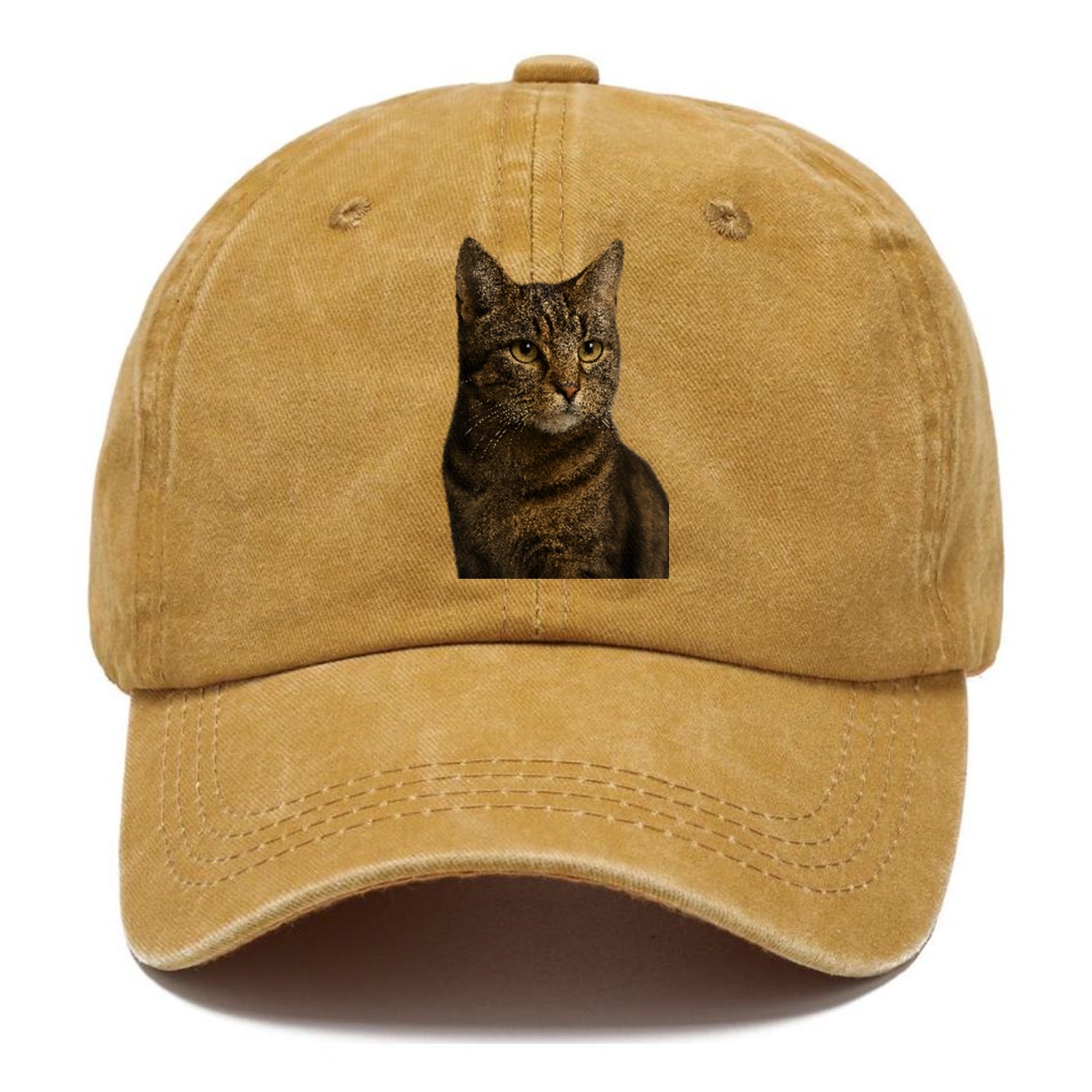 barn-cat-rustic-charm Hat