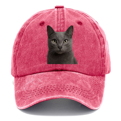 russian blue portrait design Hat