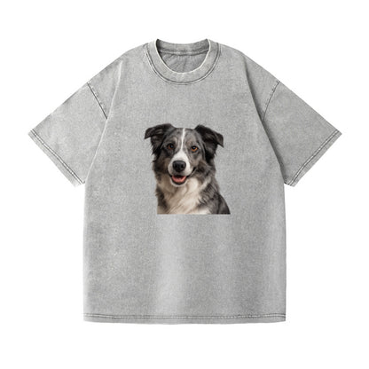 blue merle border collie agile mind Hat