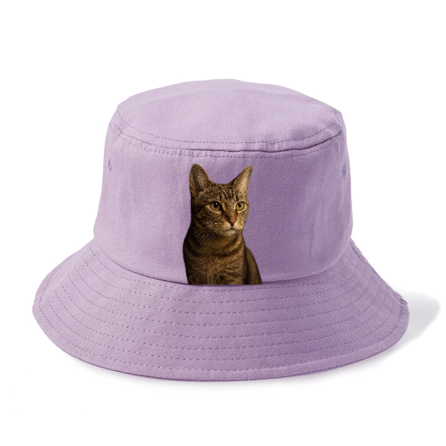 playful-cat-playful-spirit Hat