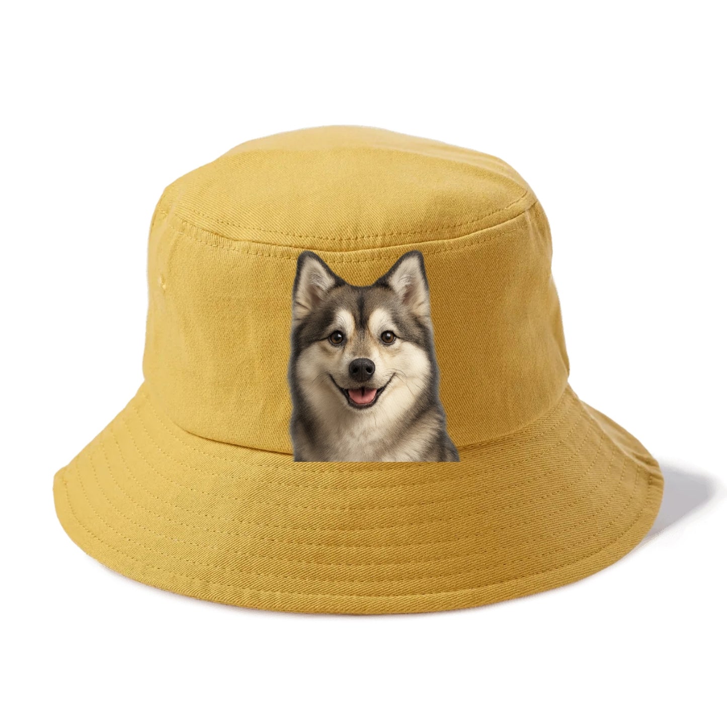 pomsky portrait design Hat