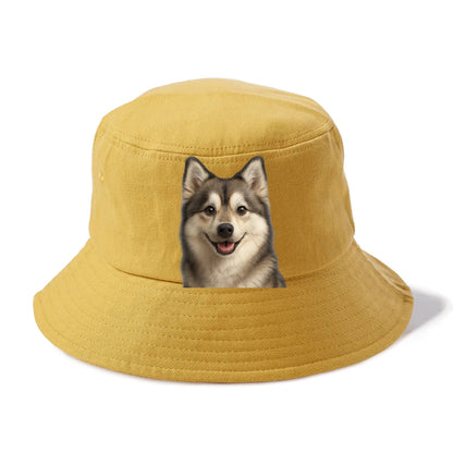 pomsky portrait design Hat