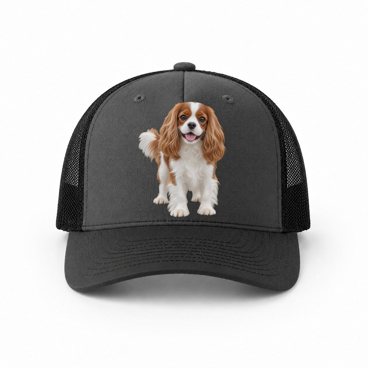 Dark Grey-Black — front view
