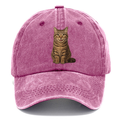 purrfectly peculiar Hat