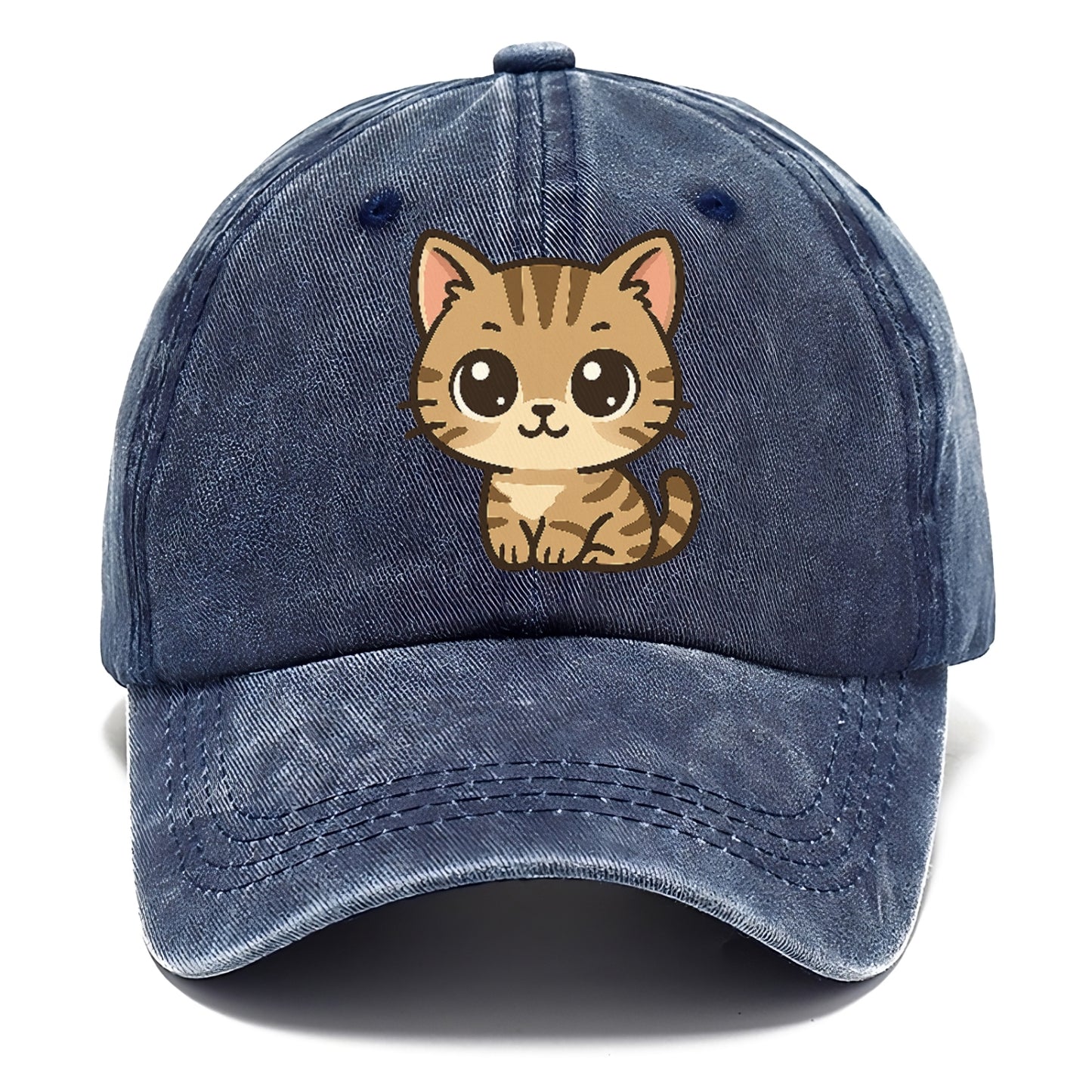tabby-mix-playful-spirit Hat