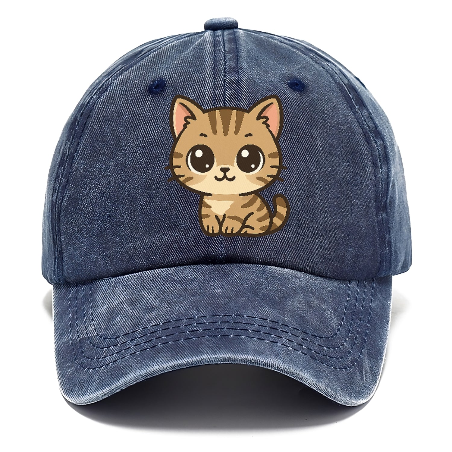tabby-mix-playful-spirit Hat