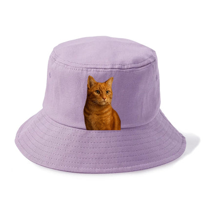 ginger-cat-warmth Hat