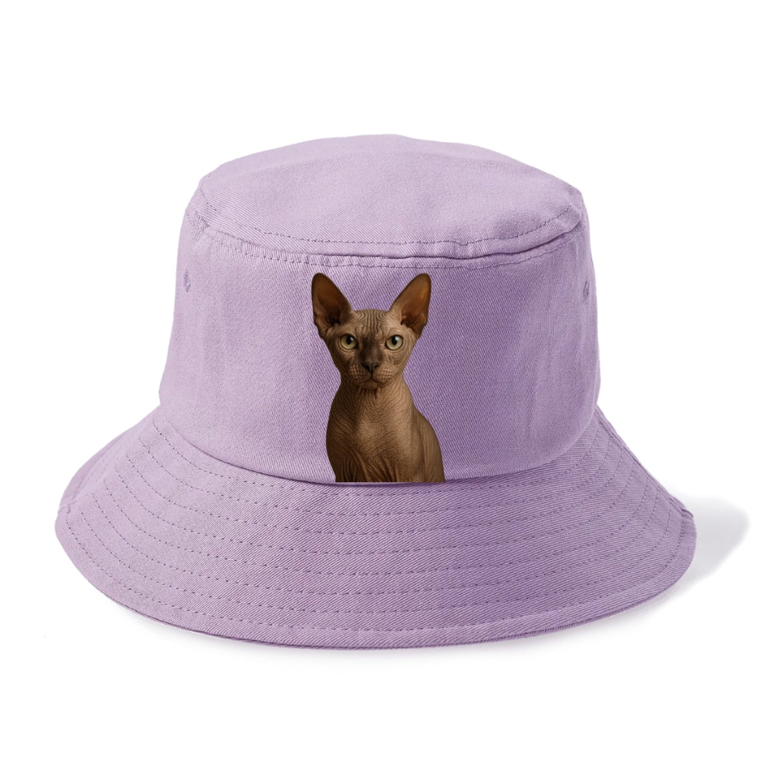 sphynx cat portrait design Hat