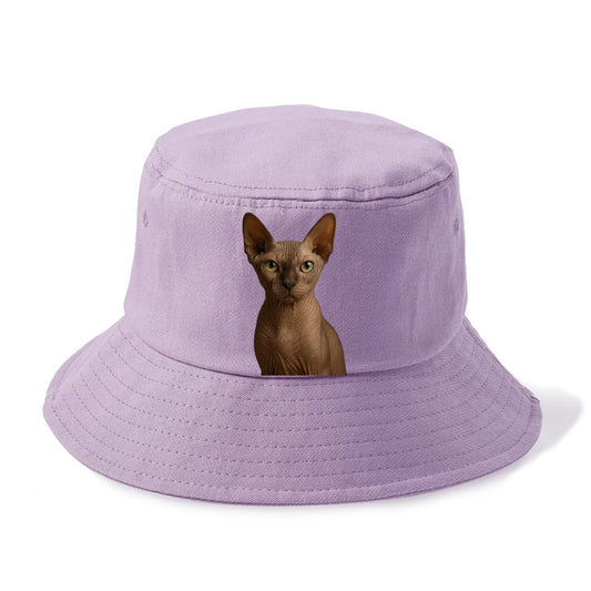 sphynx cat portrait design Hat