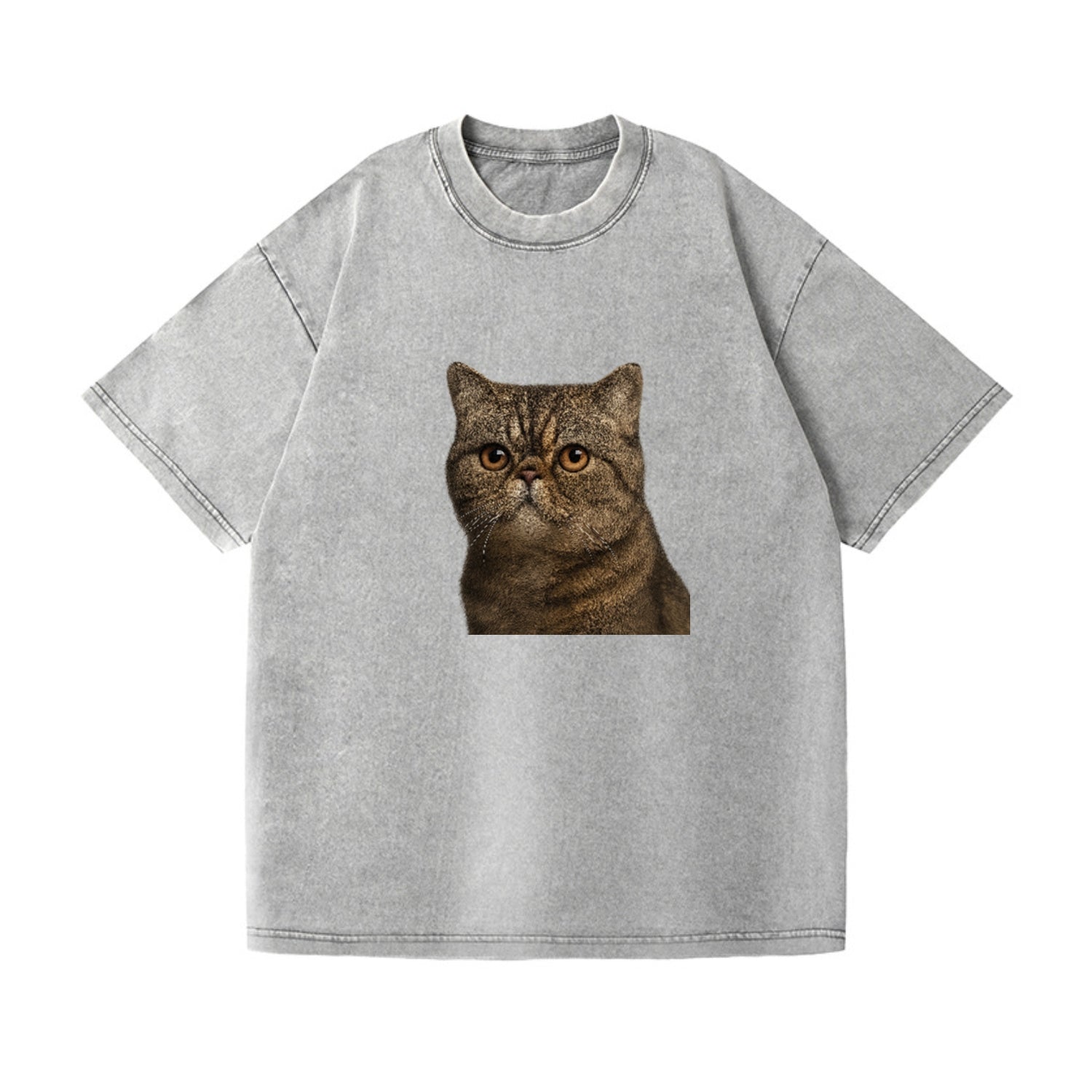 exotic-shorthair-calm-demeanor Hat