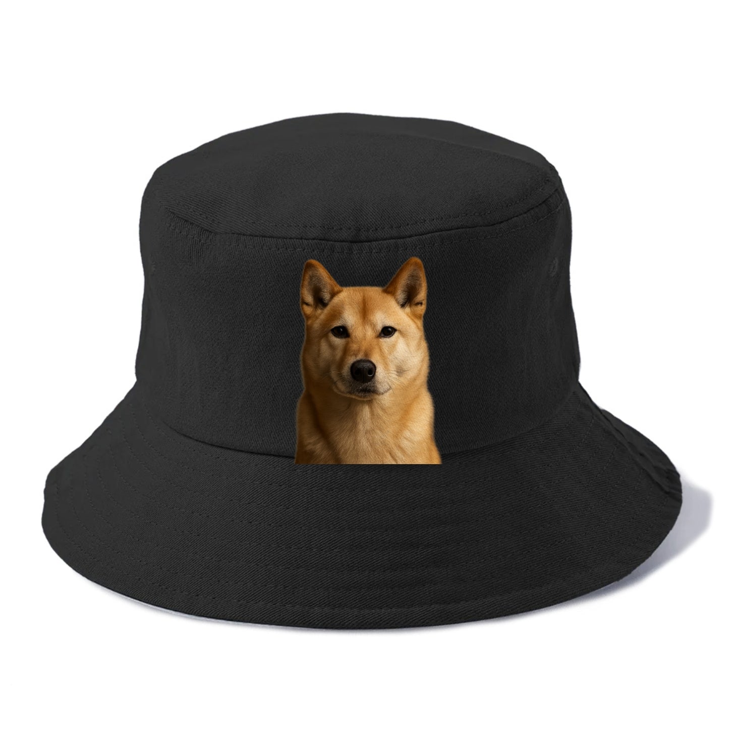 guardian Hat