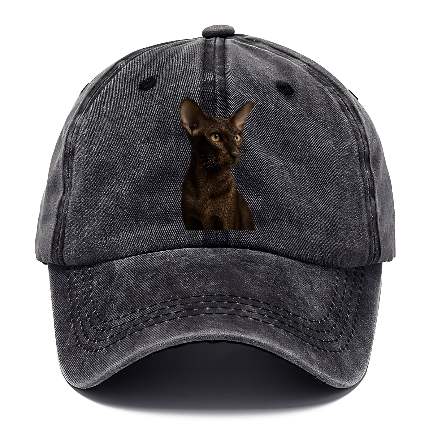 oriental-shorthair-sleek-chic Hat