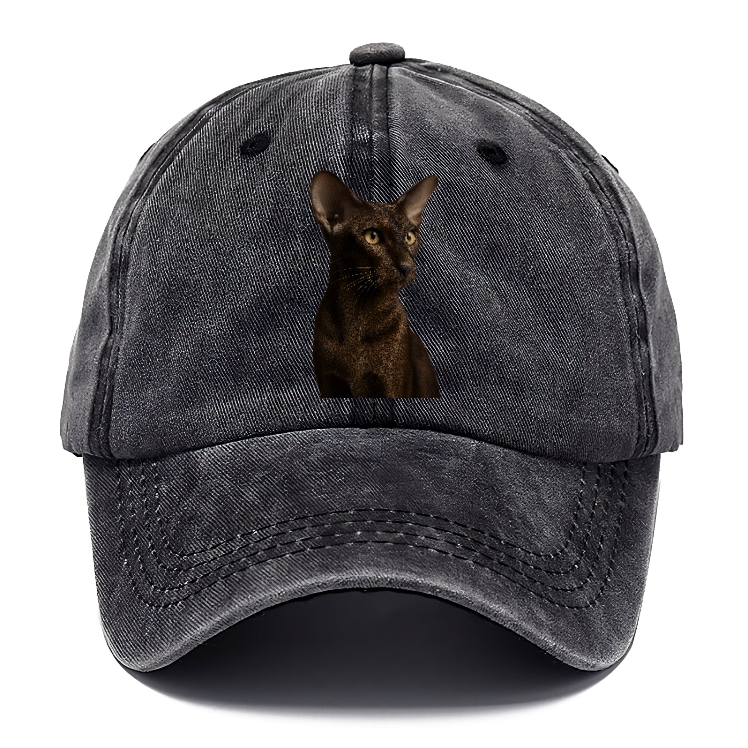 oriental-shorthair-sleek-chic Hat