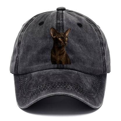 oriental-shorthair-sleek-chic Hat