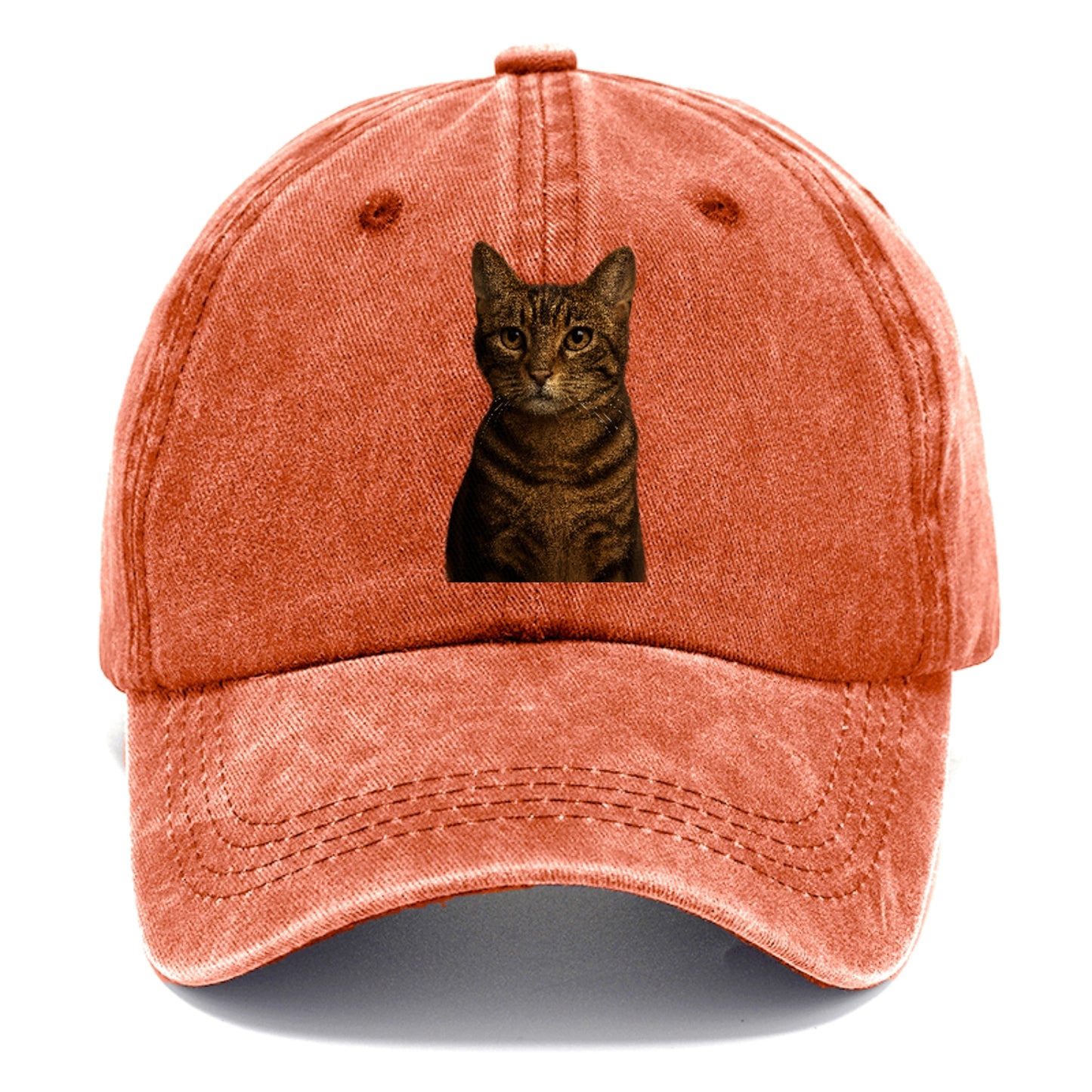 brown-tabby-playful-spirit Hat