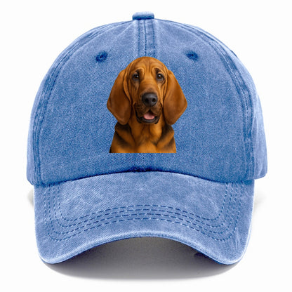 bloodhound portrait design Hat
