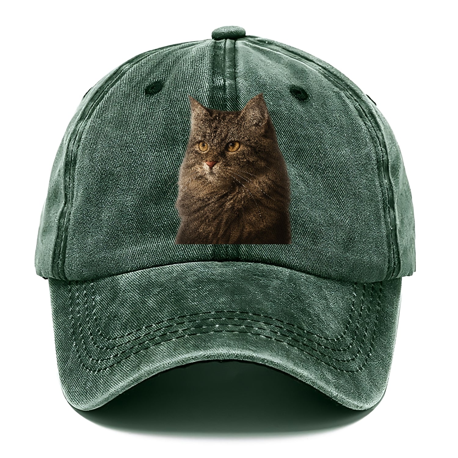 domestic-longhair-graceful-charm Hat