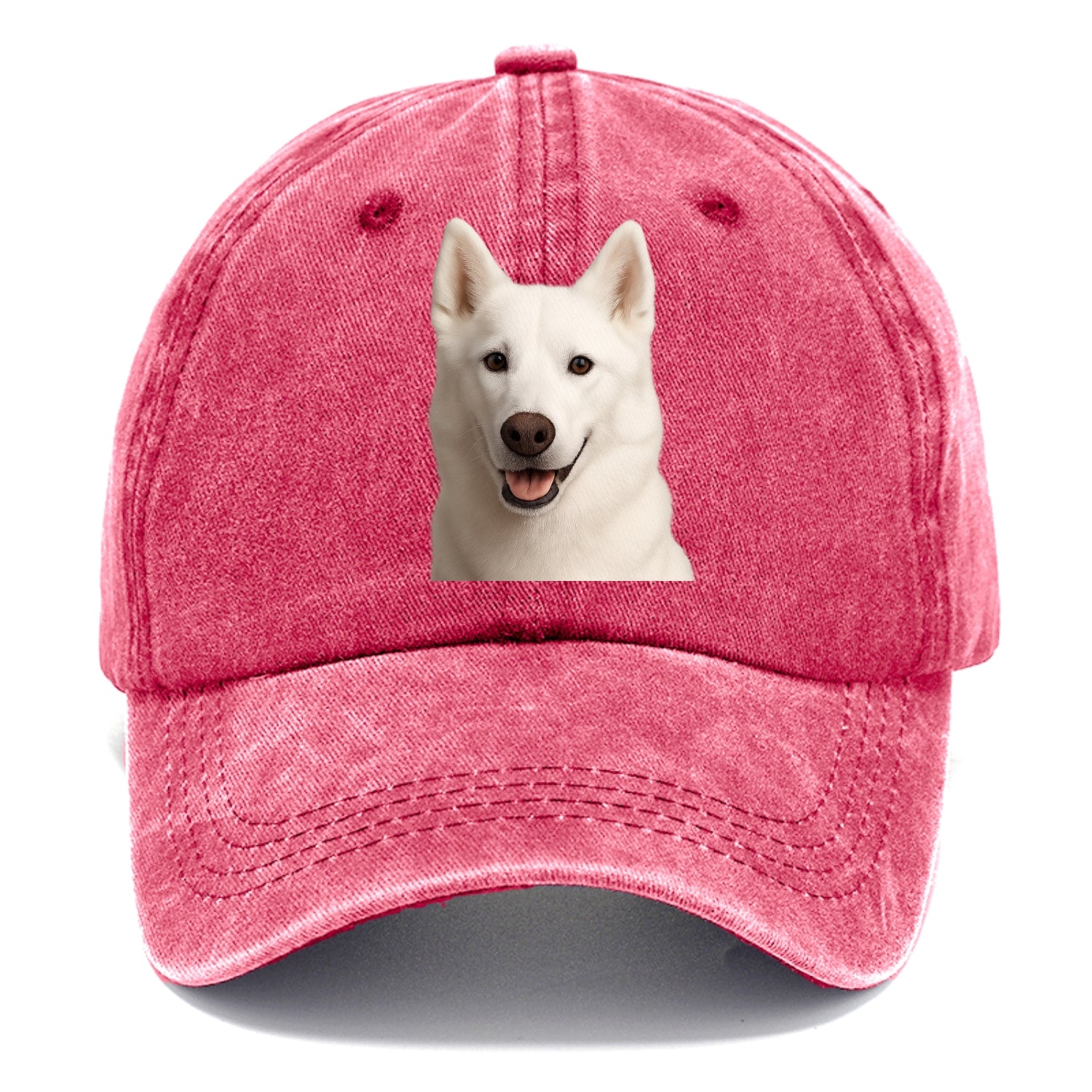 husky arctic adventure Hat