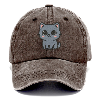 british-shorthair-calm-demeanor Hat