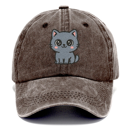 british-shorthair-calm-demeanor Hat