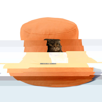 scottish-fold-curious-charm Hat