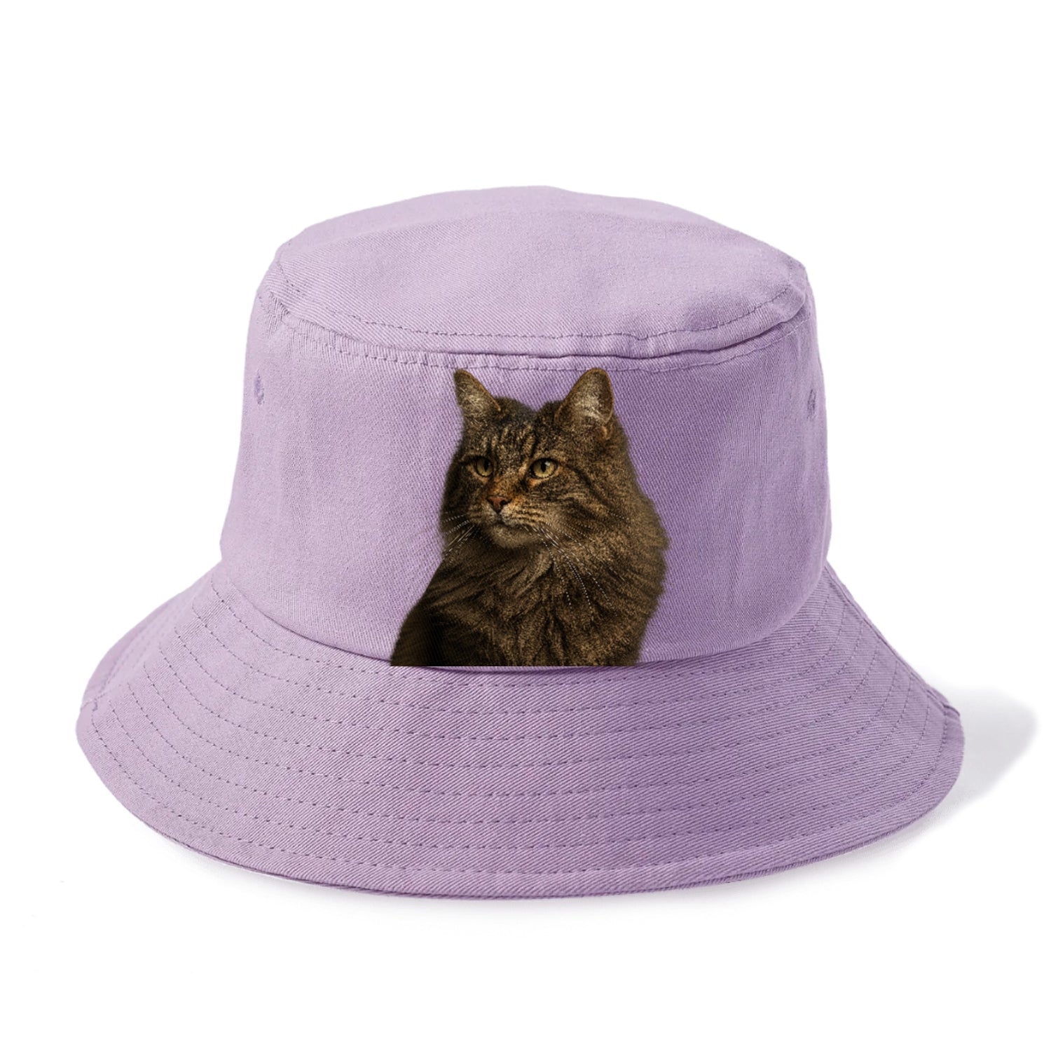 norwegian-forest-cat-wild-majesty Hat