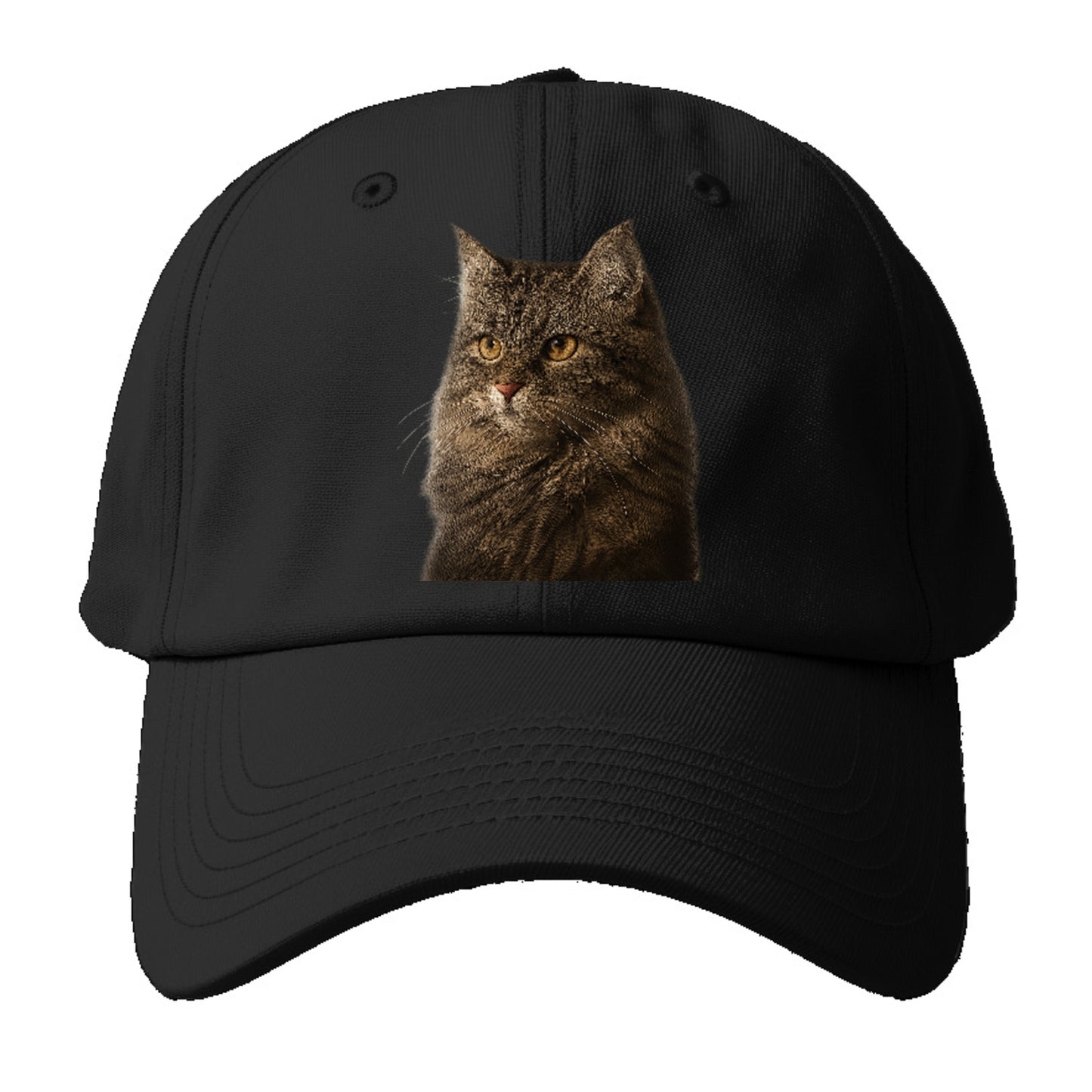 domestic-longhair-graceful-charm Hat