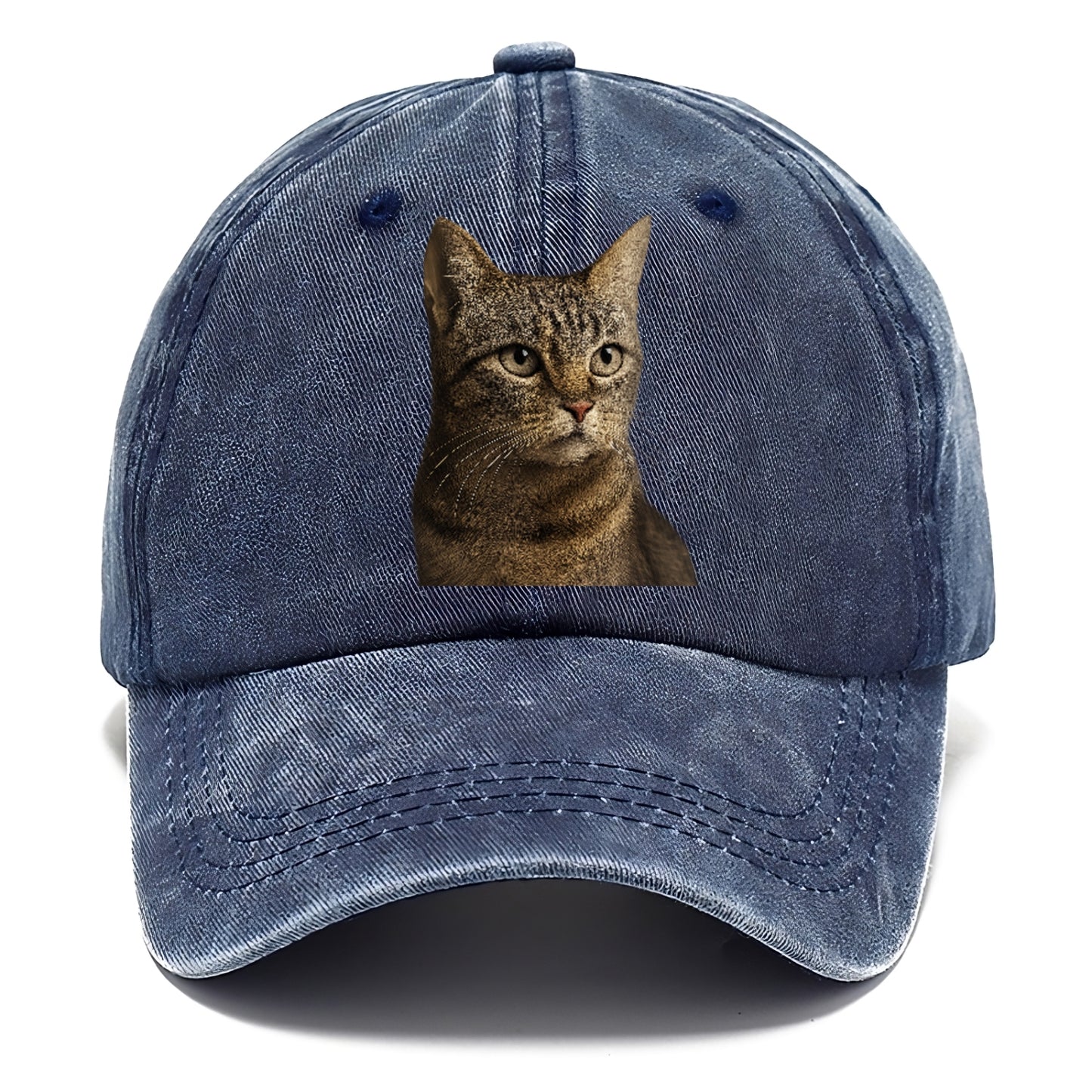 stray-cat-resilient-spirit Hat