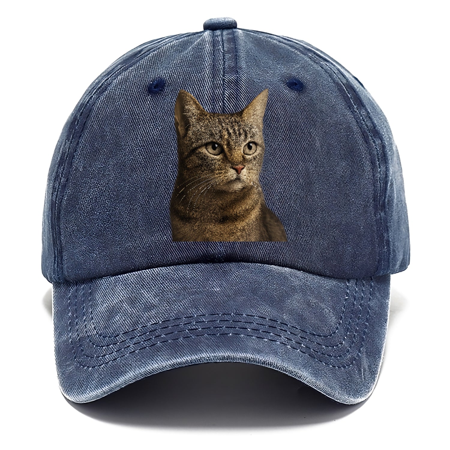 stray-cat-resilient-spirit Hat