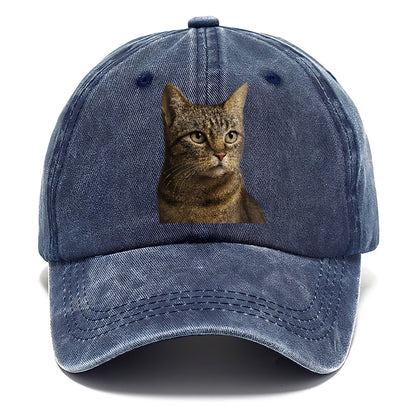 stray-cat-resilient-spirit Hat