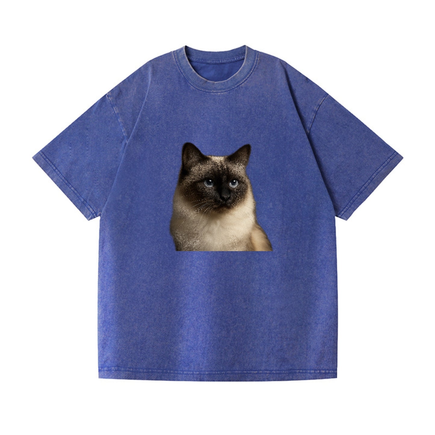 birman-cat-serene-elegance Hat