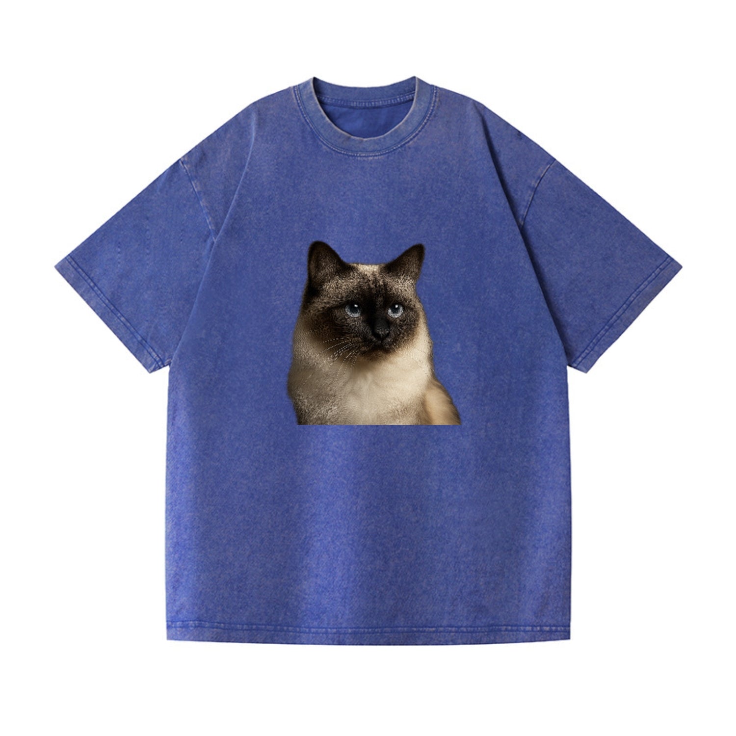 birman-cat-serene-elegance Hat