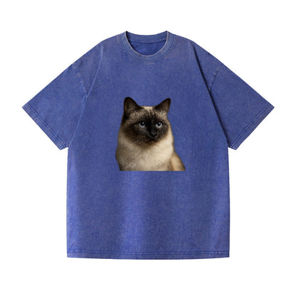 birman-cat-serene-elegance Hat