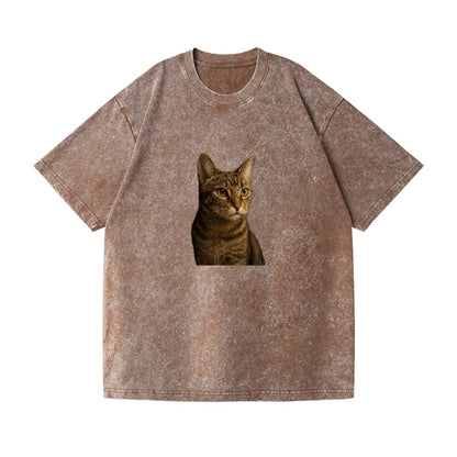 playful-cat-playful-spirit Hat