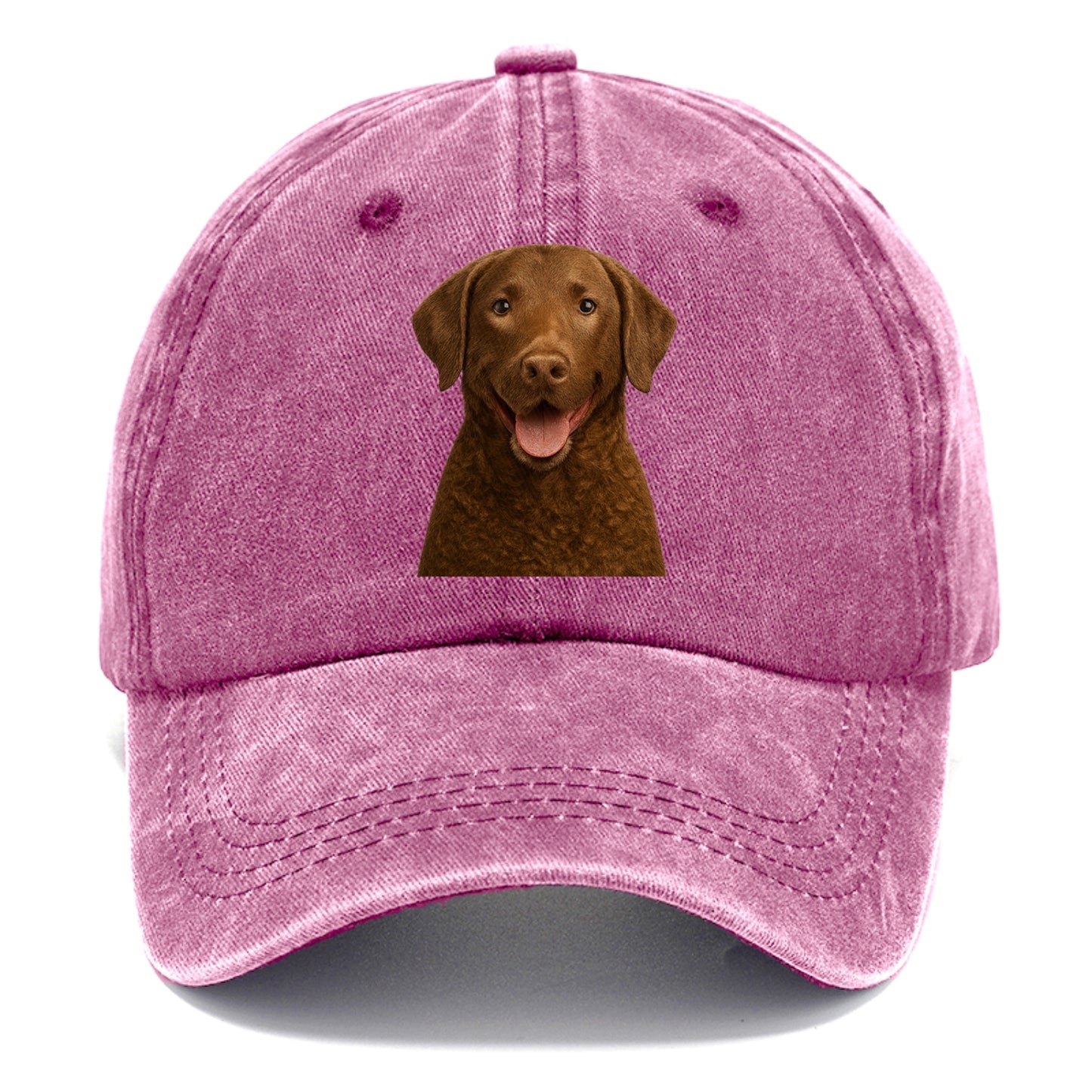 chesapeake bay retriever: rugged waterdog spirit Hat