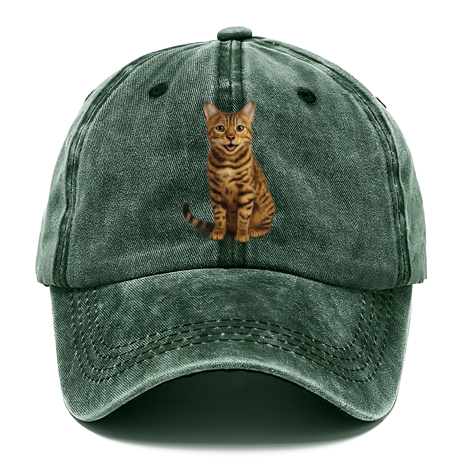 whiskered wonders Hat