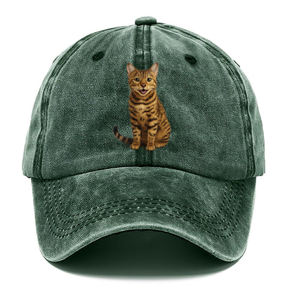 whiskered wonders Hat