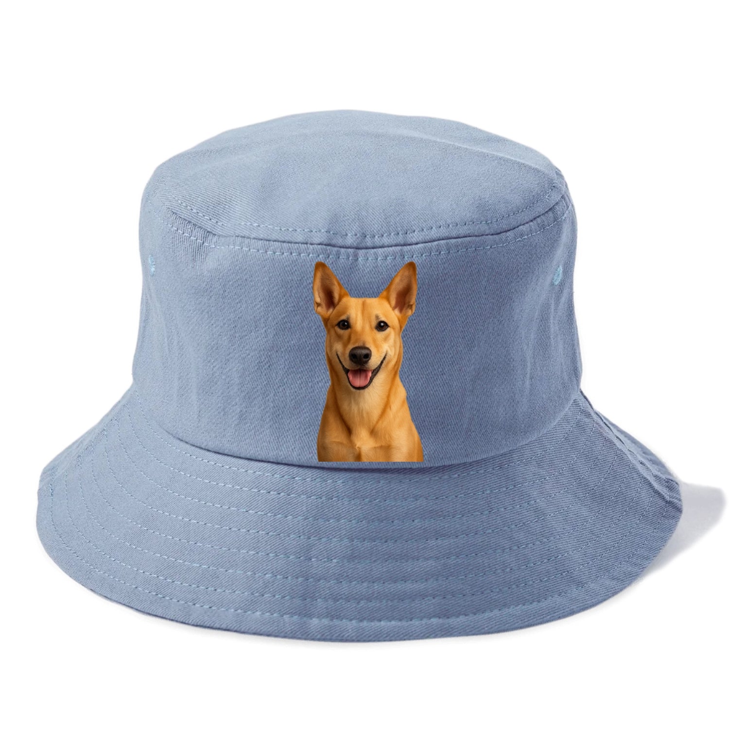 carolina dog: ancient spirit, loyal heart Hat