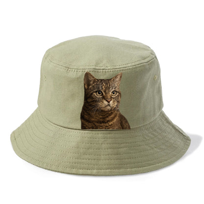 american-wirehair-textured-charm Hat