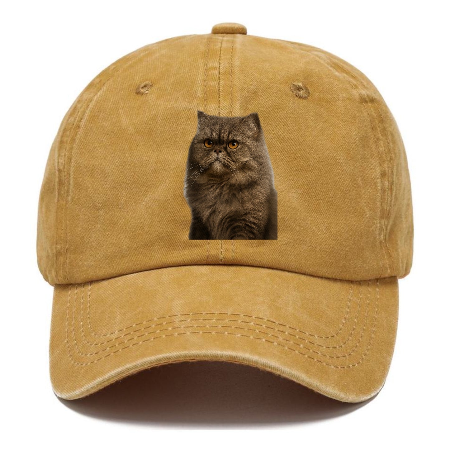 persian-cat-regal-elegance Hat