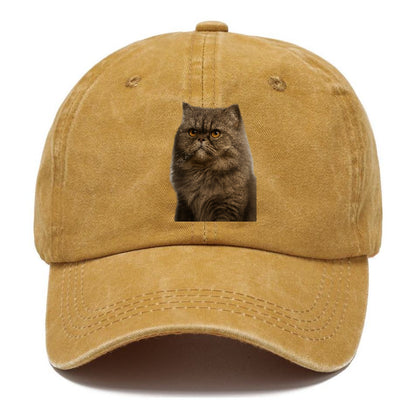 persian-cat-regal-elegance Hat