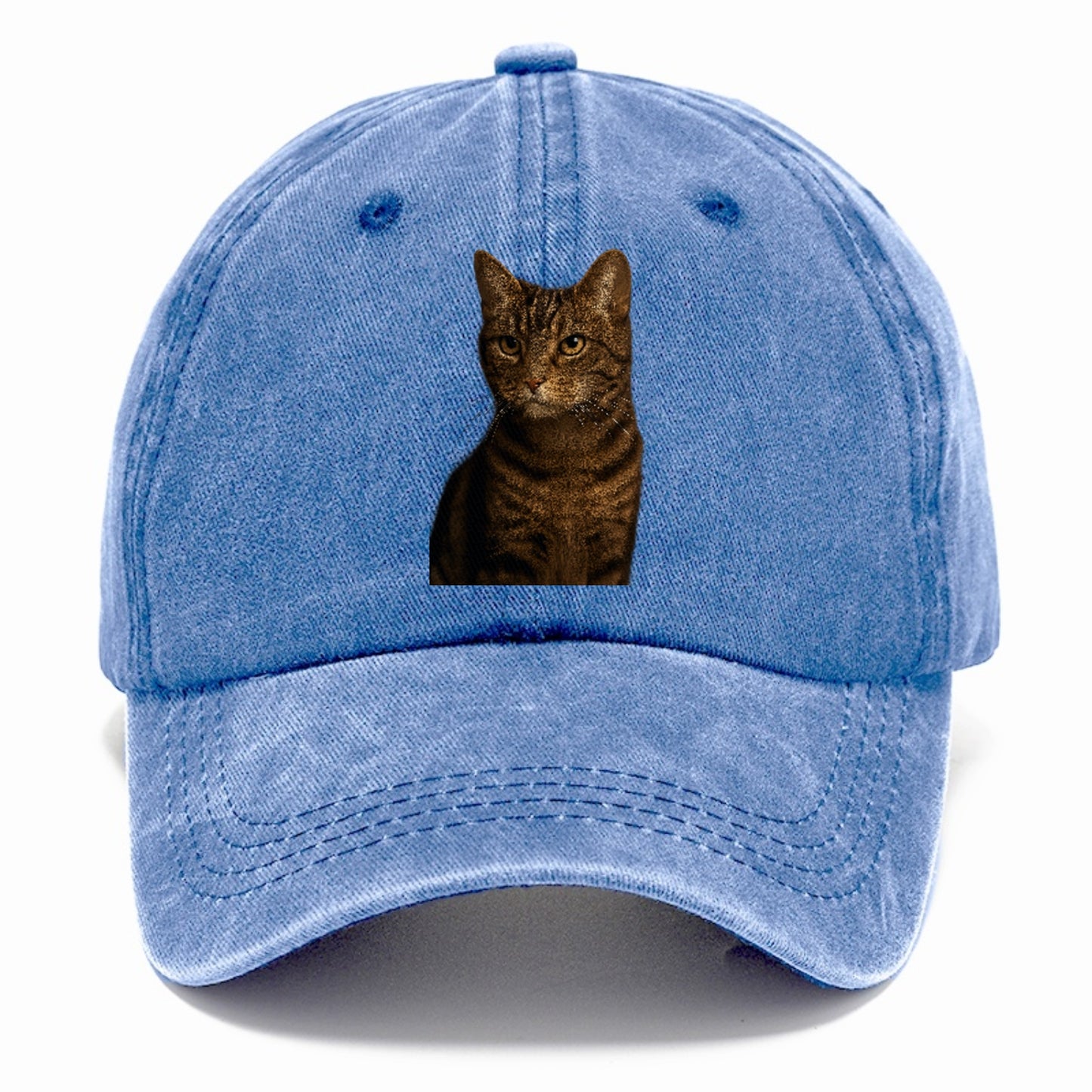 brown-tabby-cozy-charm Hat