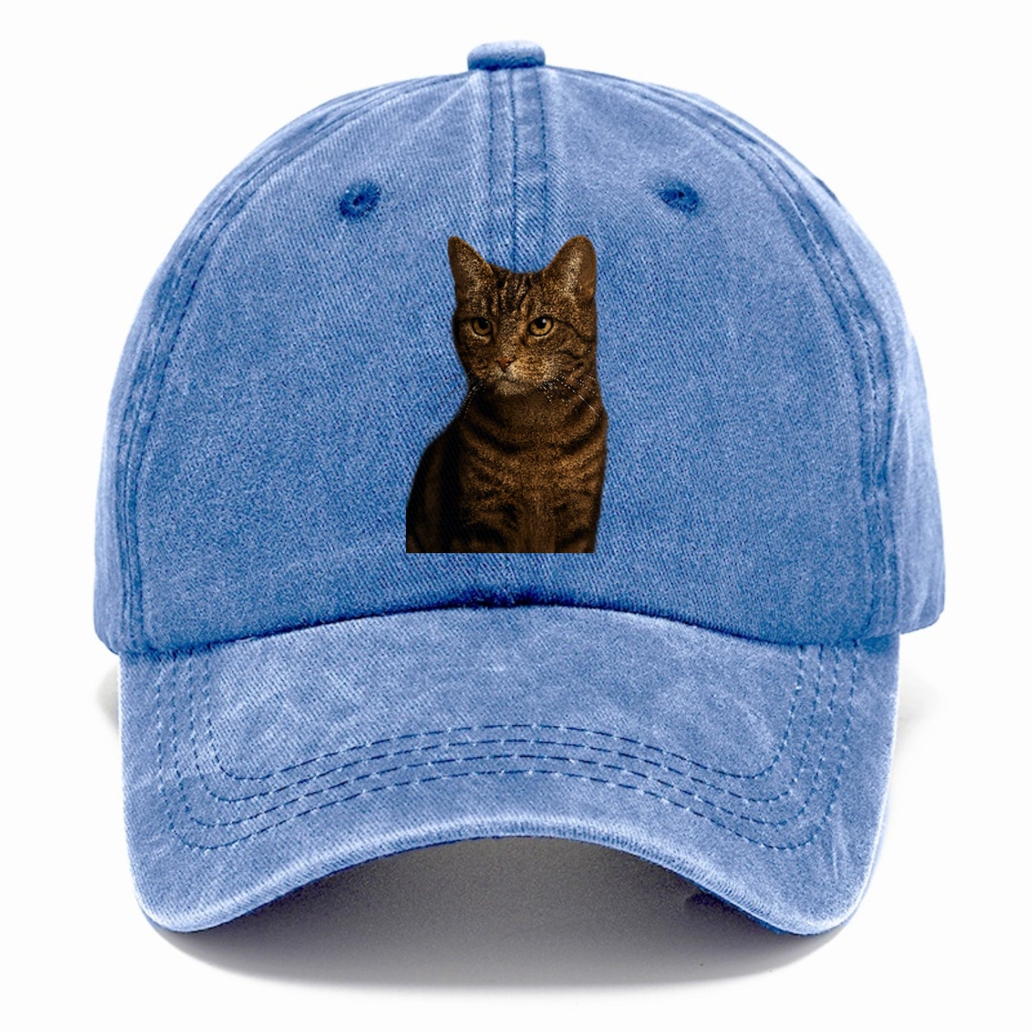 brown-tabby-cozy-charm Hat