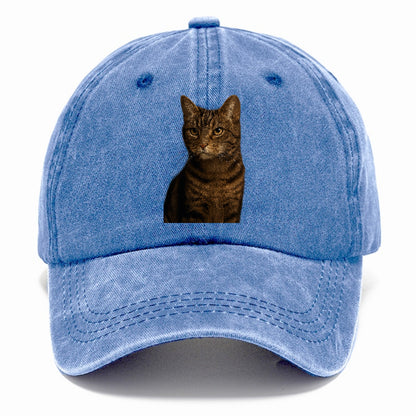 brown-tabby-cozy-charm Hat