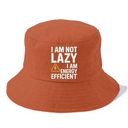 not lazy energy efficient Hat