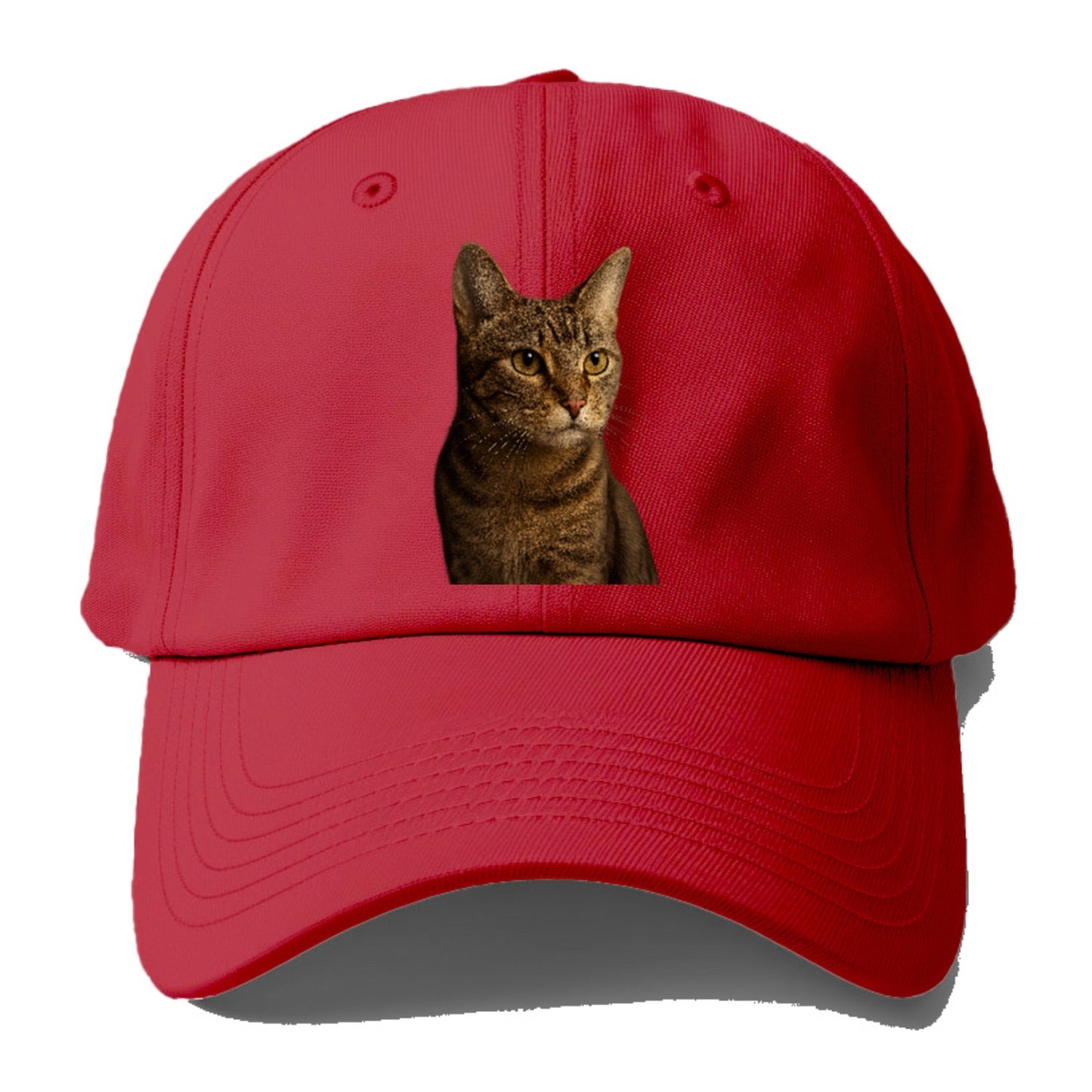 playful-cat-playful-spirit Hat