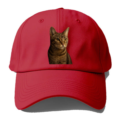 playful-cat-playful-spirit Hat